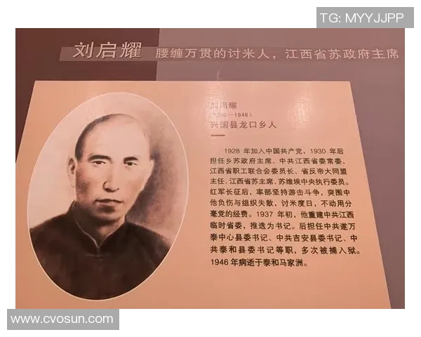 武汉羽毛球队的辉煌崛起与邀请赛背后的奋斗故事